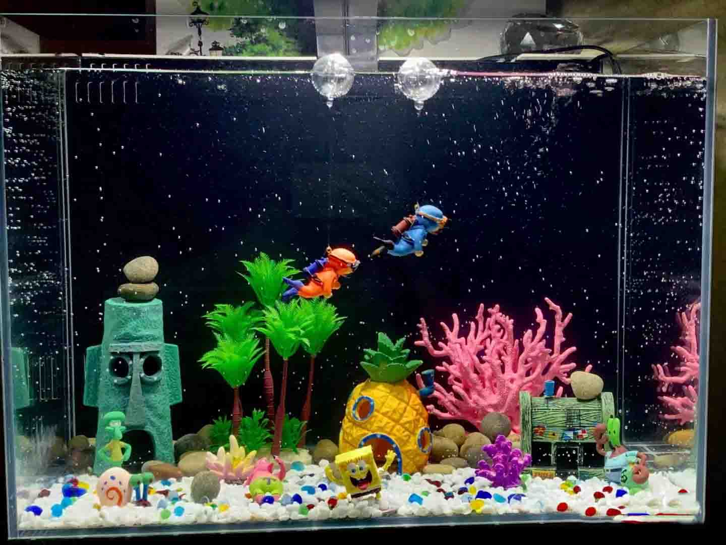 Why is my fish tank cloudy after 1 day